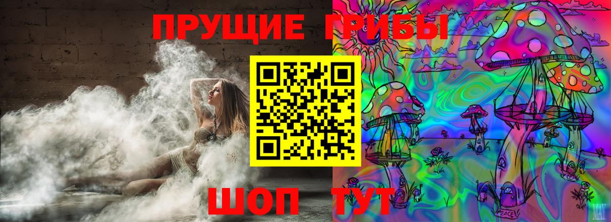 Петропавловск-Камчатский  Галлюциногенные грибы мухоморы  Вход с VPN  Псилоцибиновые грибы GOLDEN TEACHER 